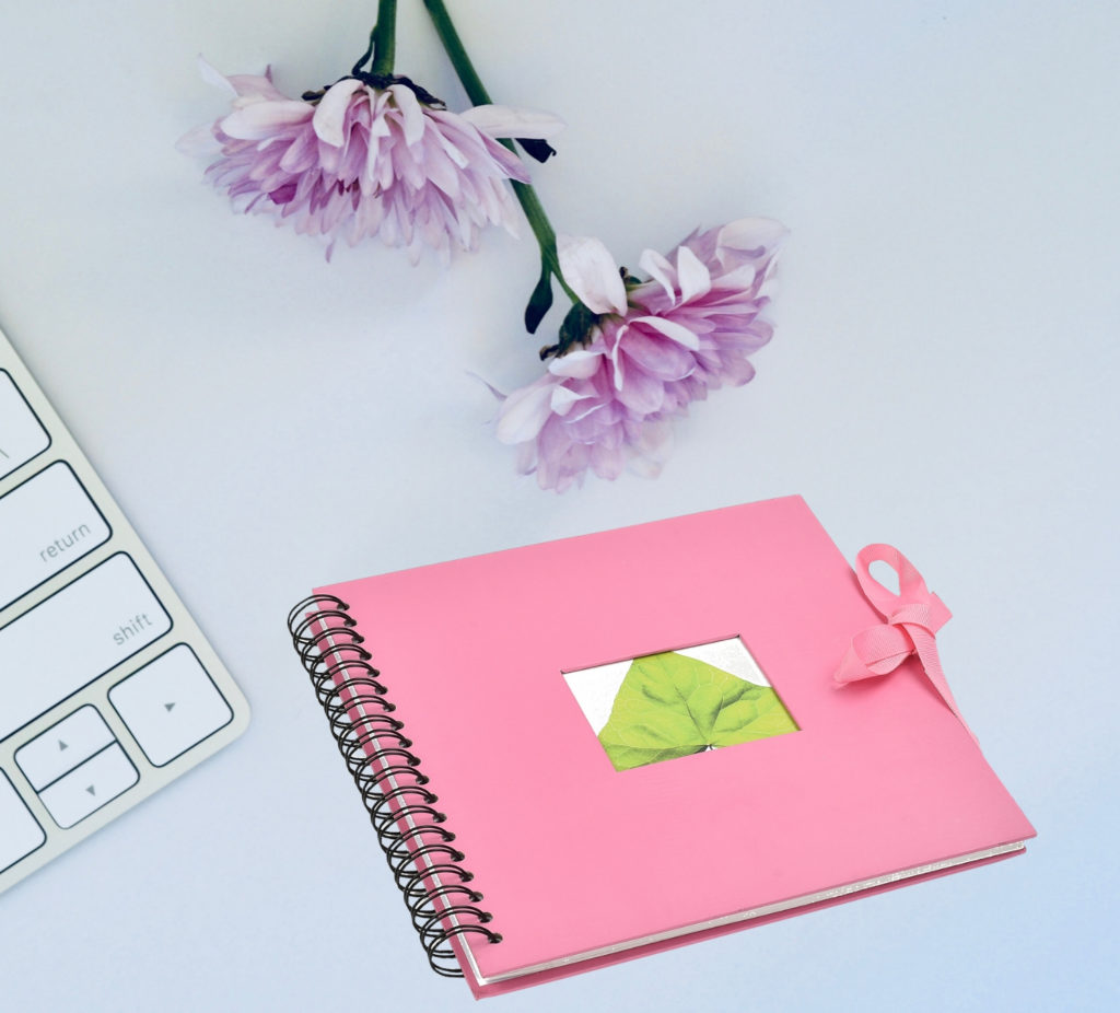 Scrapbook Spiral Bound Photo Album 25 Sheets With CutOut Window Pink Clarisworld